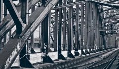 䓽Y�����ķN������^����