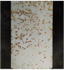 Ϳ���÷��W�P������Щ�N���οƌW(xu��)ʹ���� Ϳ���ھ�,coatingol.com