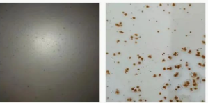 Ϳ���÷��W�P������Щ�N�����οƌW(xu��)ʹ���� Ϳ���ھ�,coatingol.com